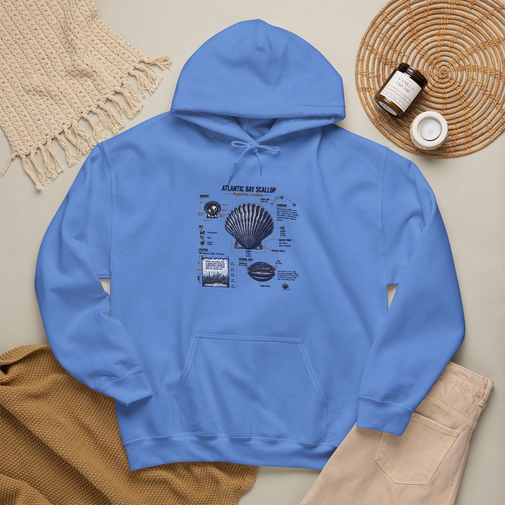 Seashell Anatomy Hoodie – Nautical Beach Diagram Sweatshirt