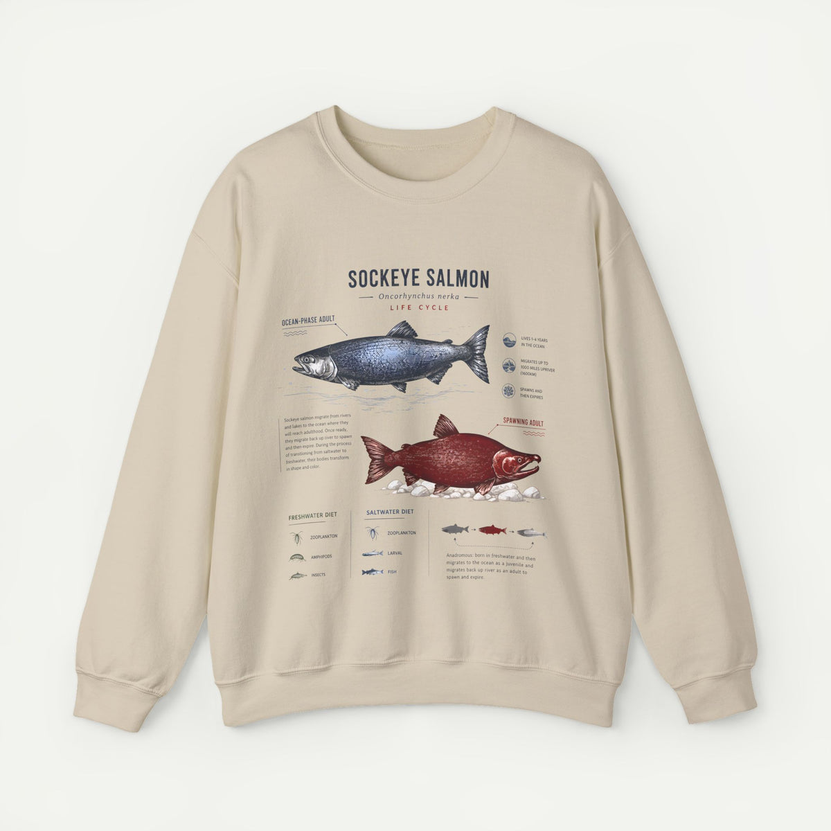Sockeye Salmon Anatomy Sweatshirt — Fish Anatomy Graphic Crewneck