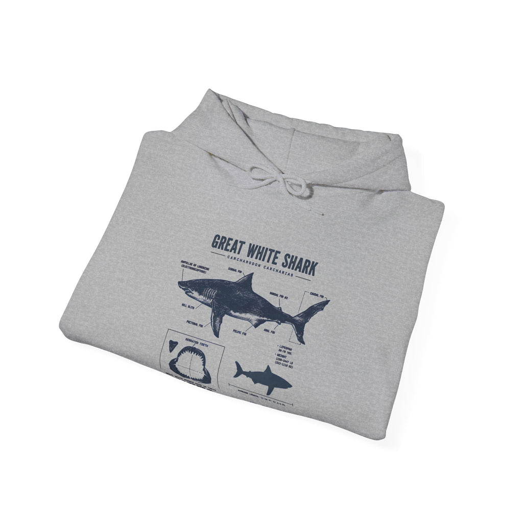 Shark Diagram Hoodie — Great White Shark Anatomy Graphic Sweatshirt