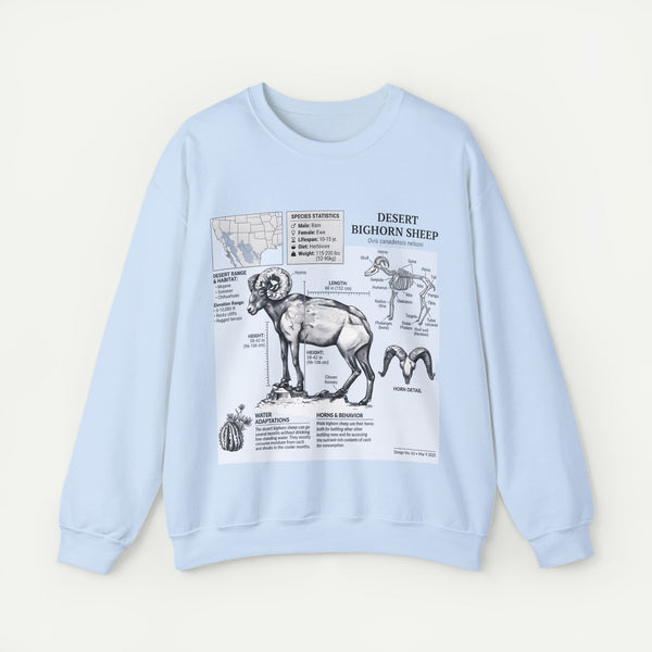 Desert Bighorn Sheep Anatomy Sweatshirt