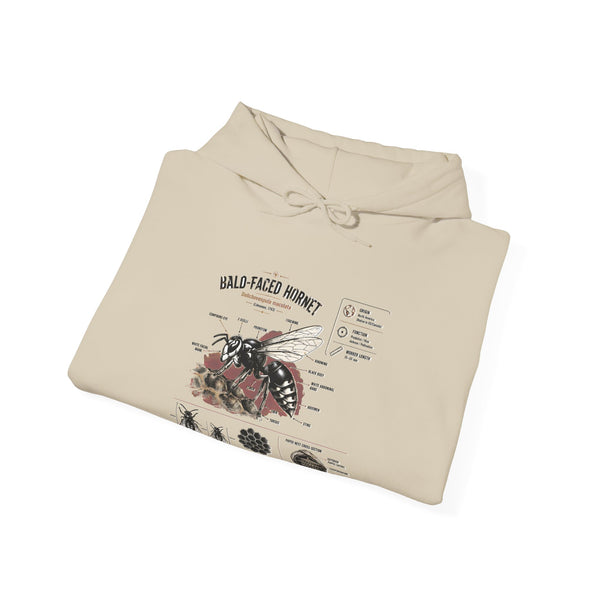 Bee Anatomy Hoodie — Bald-Faced Hornet Illustration & Diagram Sweatshirt