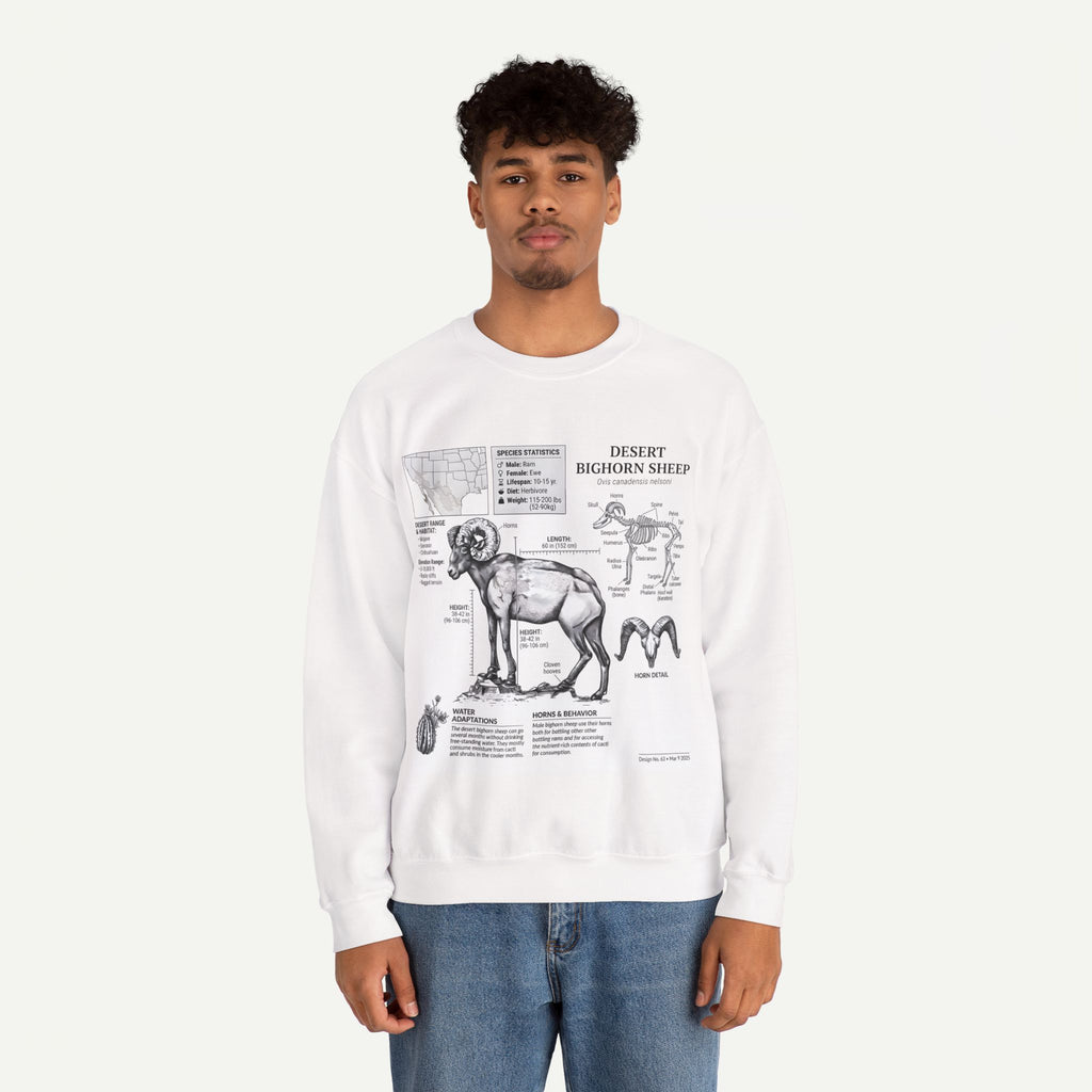 Desert Bighorn Sheep Anatomy Sweatshirt