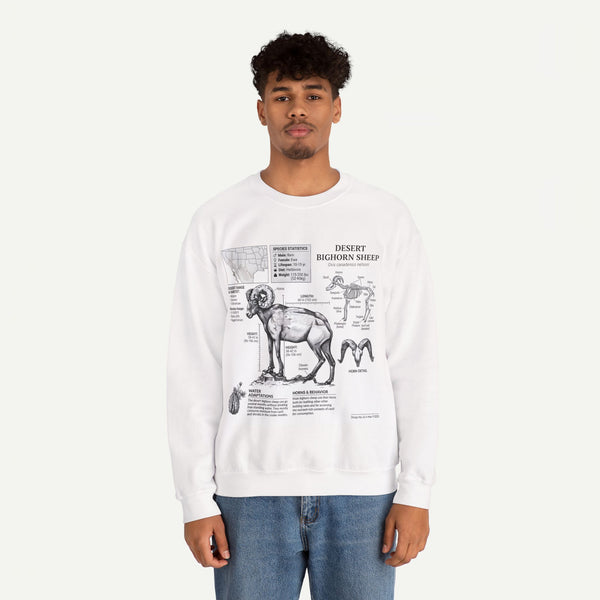 Desert Bighorn Sheep Anatomy Sweatshirt