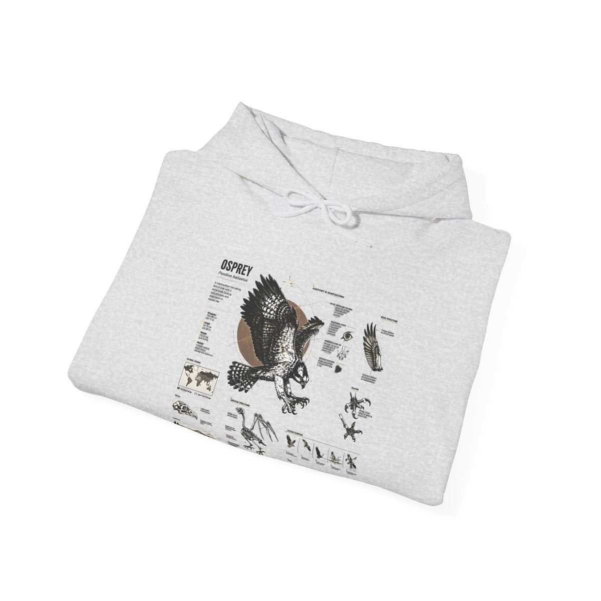 Eagle Anatomy Hoodie — Vintage Ornithology Graphic Sweatshirt
