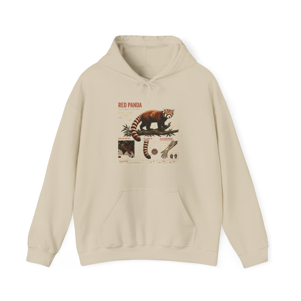 Red Panda Anatomy Hoodie — Vintage Wildlife Guide Sweatshirt Main image
