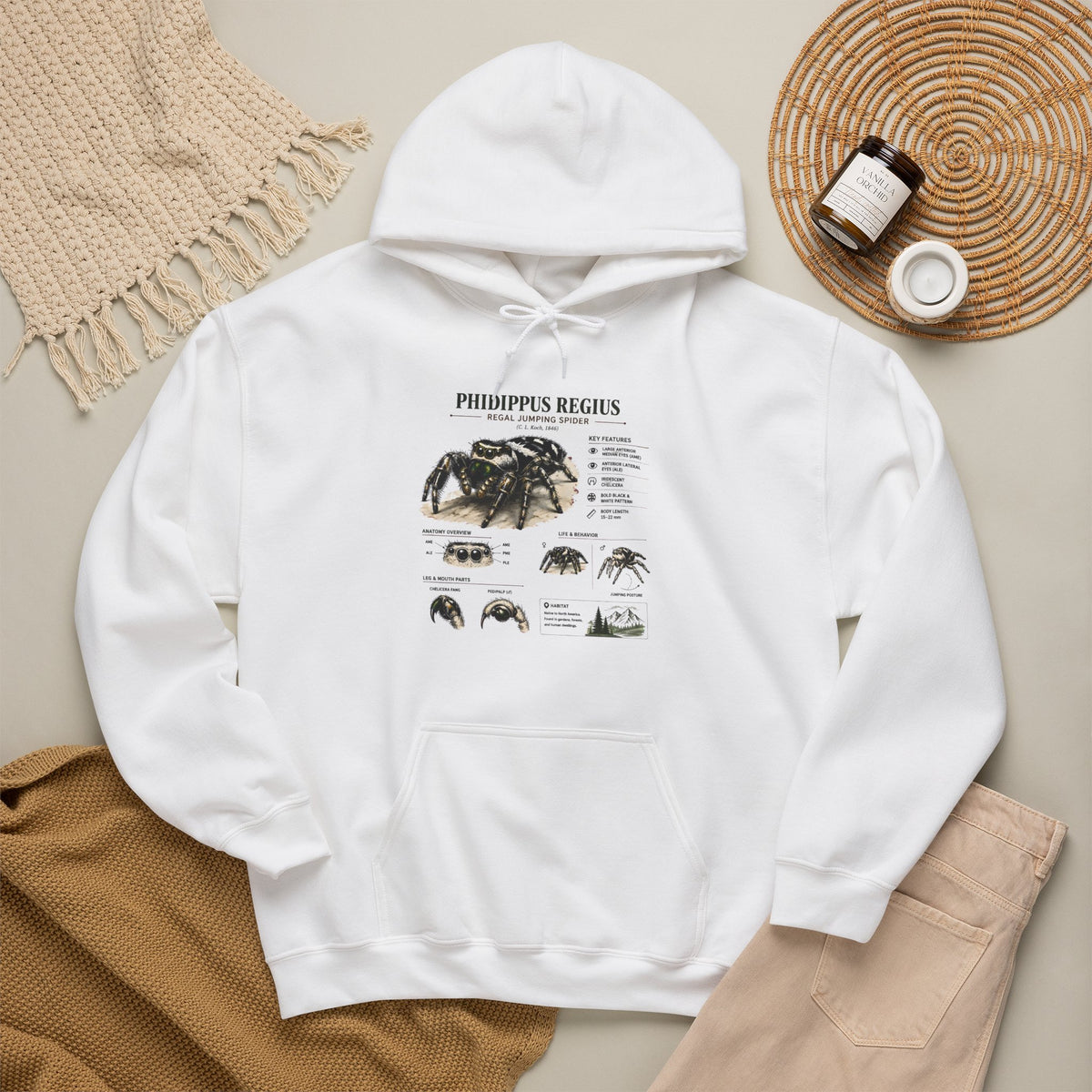Tarantula Species Hoodie — Phidippus Regius Educational Spider Sweatshirt