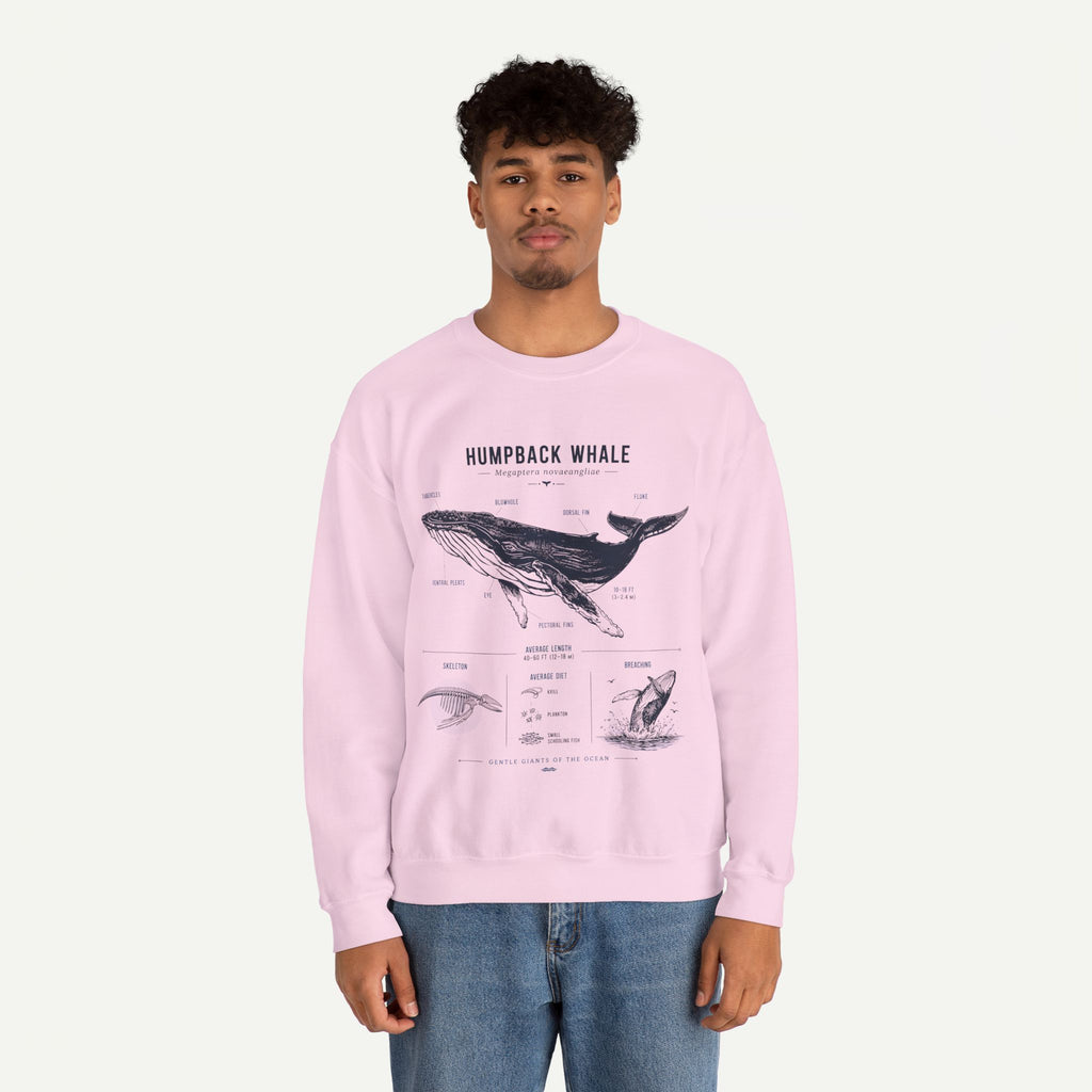 Humpback Whale Anatomy Sweatshirt