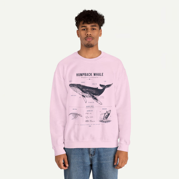 Humpback Whale Anatomy Sweatshirt