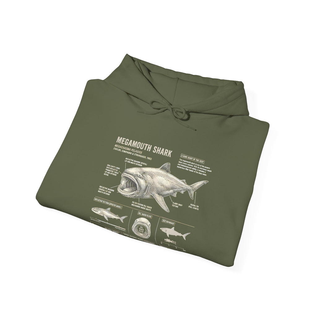 Shark Anatomy Hoodie — Vintage Megalodon Illustration Pullover