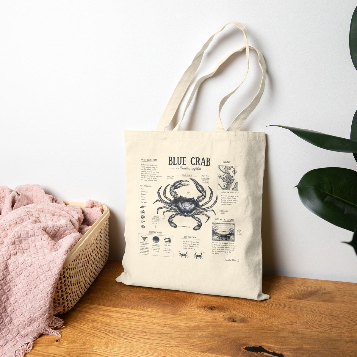 Blue Crab Anatomy Canvas Tote Bag — Nautical Vintage Seafood Diagram Shopper