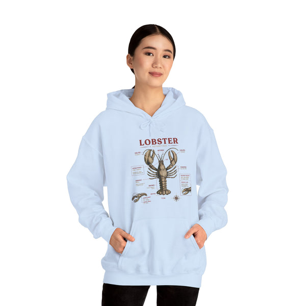 Lobster Anatomy Hoodie – Nautical Seafood Illustration Pullover