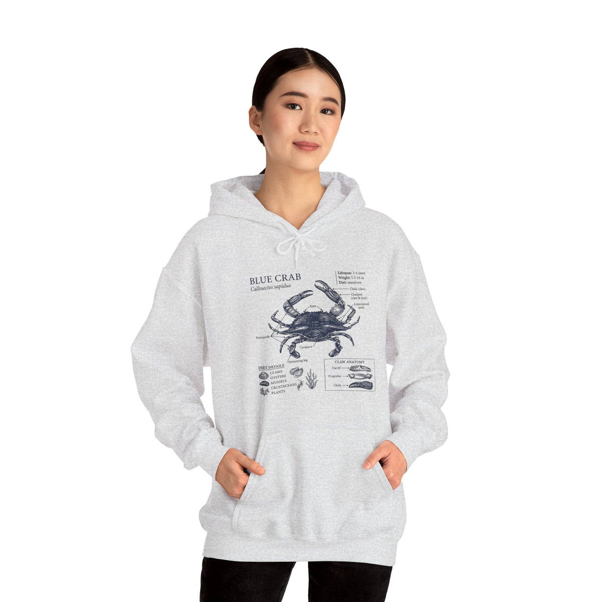 Blue Crab Anatomy Hoodie – Nautical Marine Biology Graphic Sweatshirt