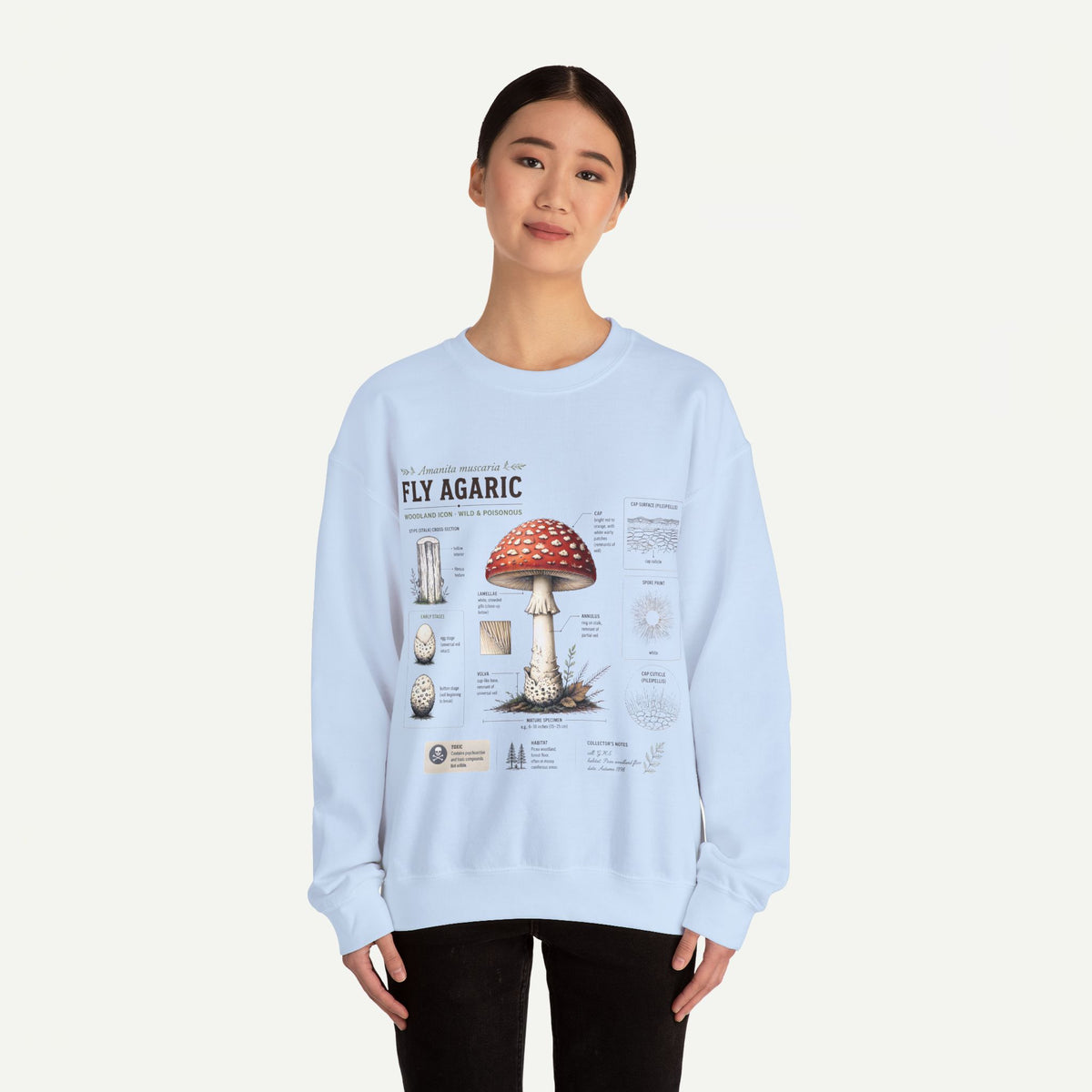 Fly Agaric Mushroom Anatomy Sweatshirt — Botanical Mycology Illustration Crewneck