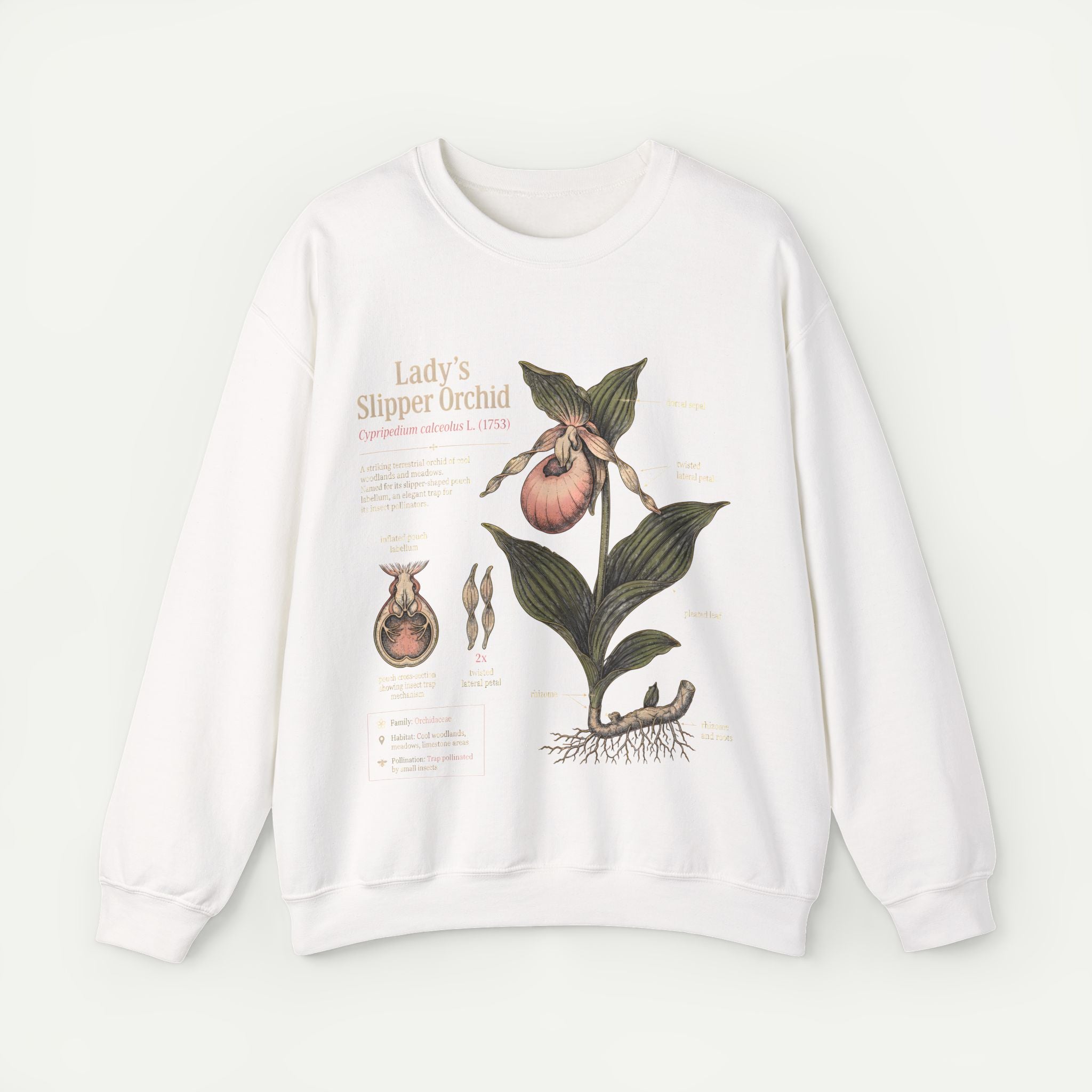 Lady's Slipper Orchid Botanical Sweatshirt Secondary image