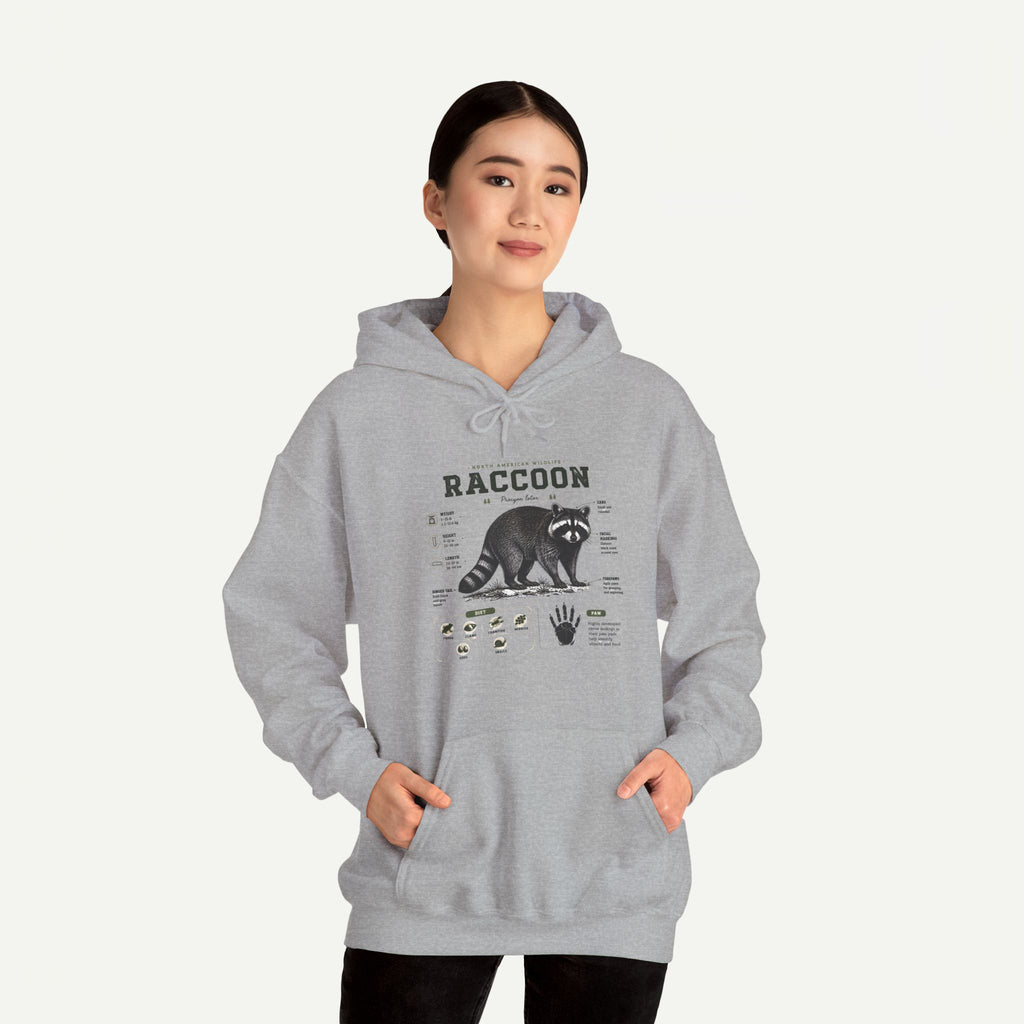 Raccoon Anatomy Hoodie — Vintage Wildlife Illustration Sweatshirt