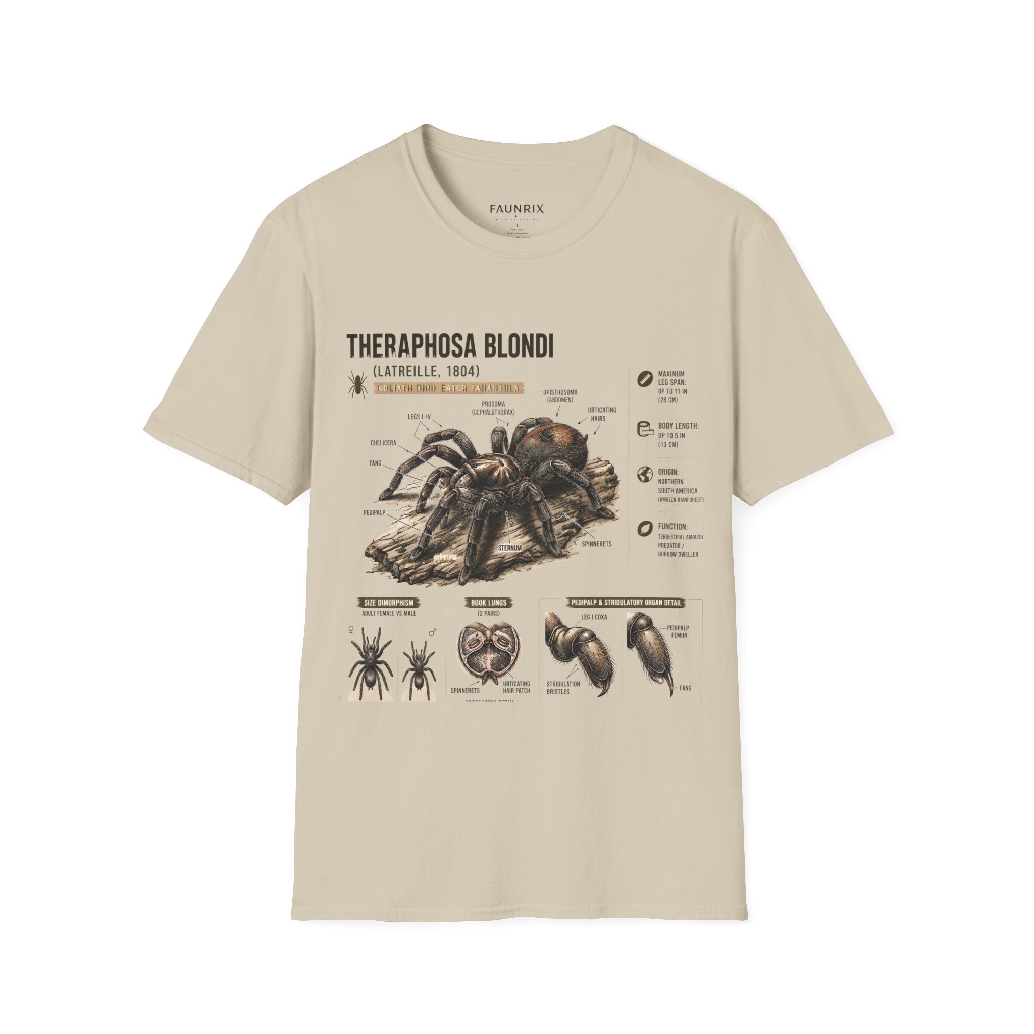 Theraphosa blondi Tarantula T-Shirt — Spider Anatomy Educational Tee Secondary image