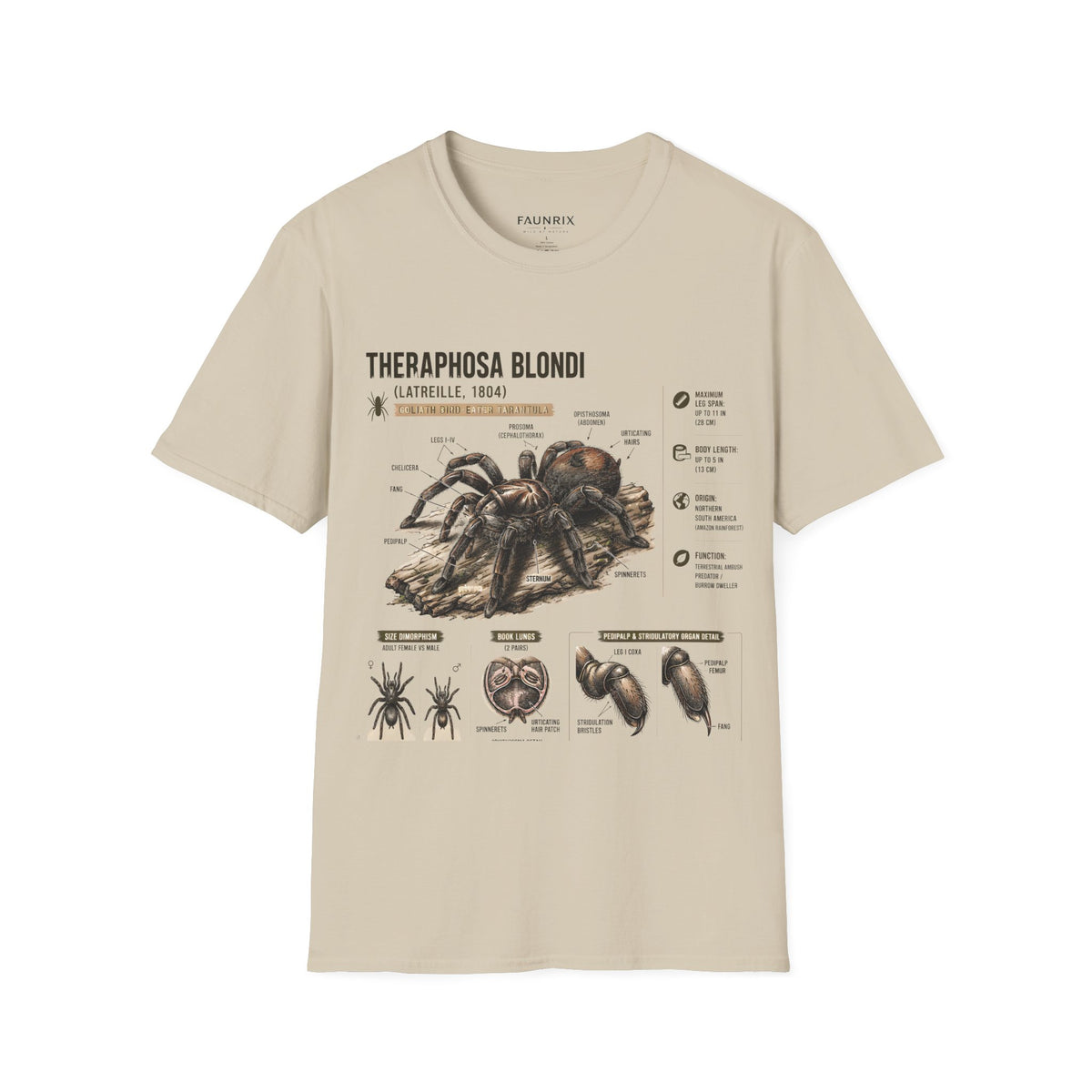 Theraphosa blondi Tarantula T-Shirt — Spider Anatomy Educational Tee