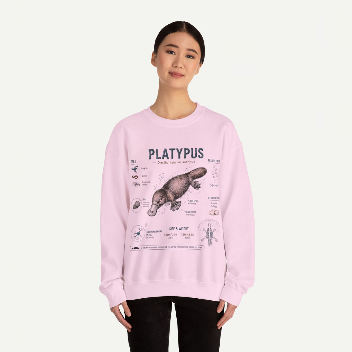 Platypus Anatomy Sweatshirt — Vintage Scientific Illustration