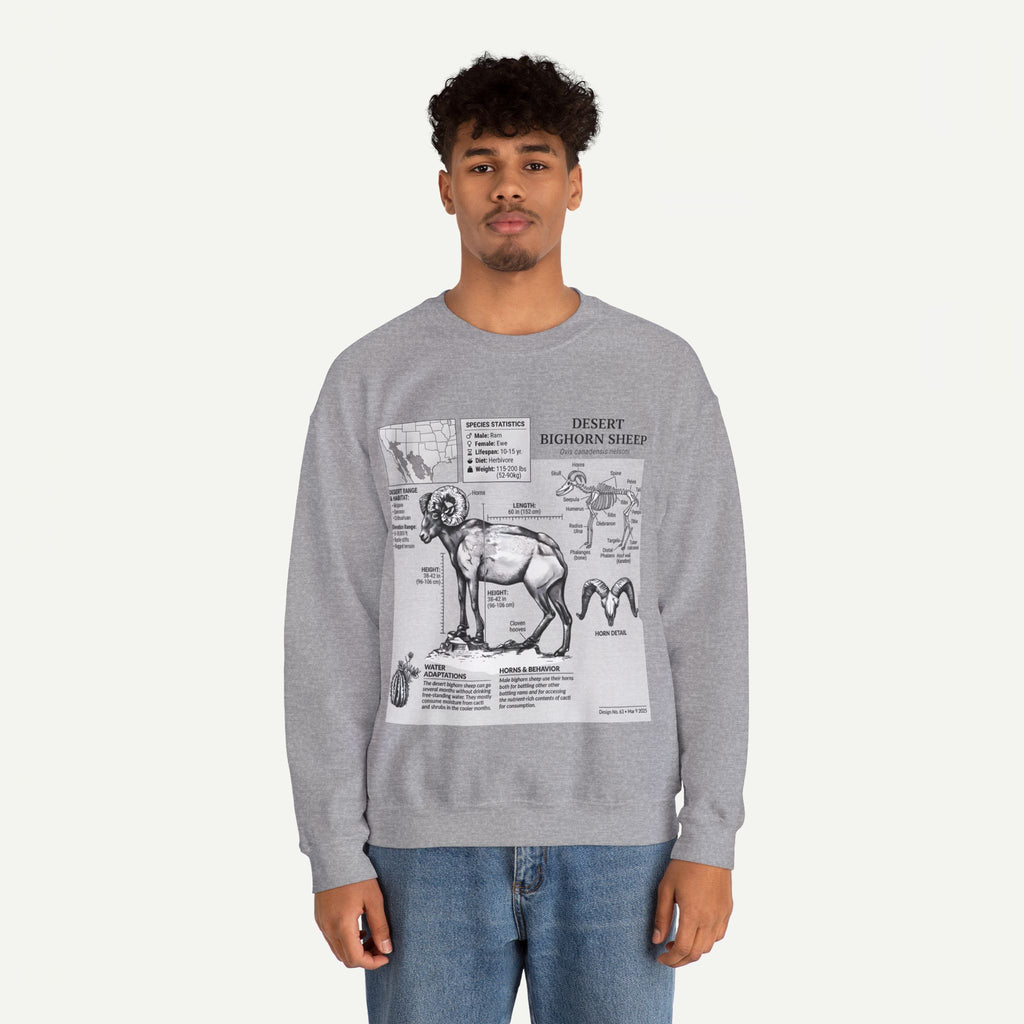 Desert Bighorn Sheep Anatomy Sweatshirt