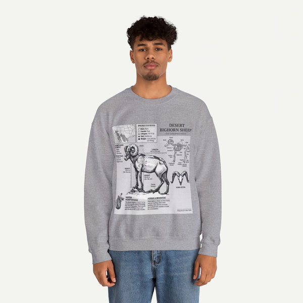 Desert Bighorn Sheep Anatomy Sweatshirt