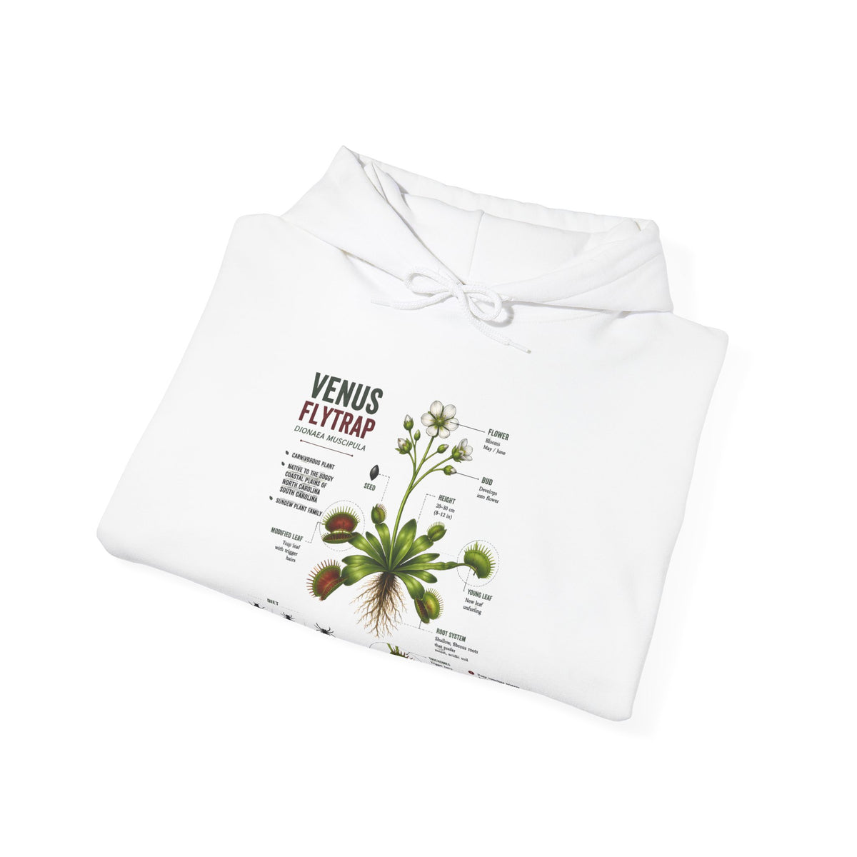 Venus Flytrap Botanical Hoodie – Illustrated Carnivorous Plant Guide