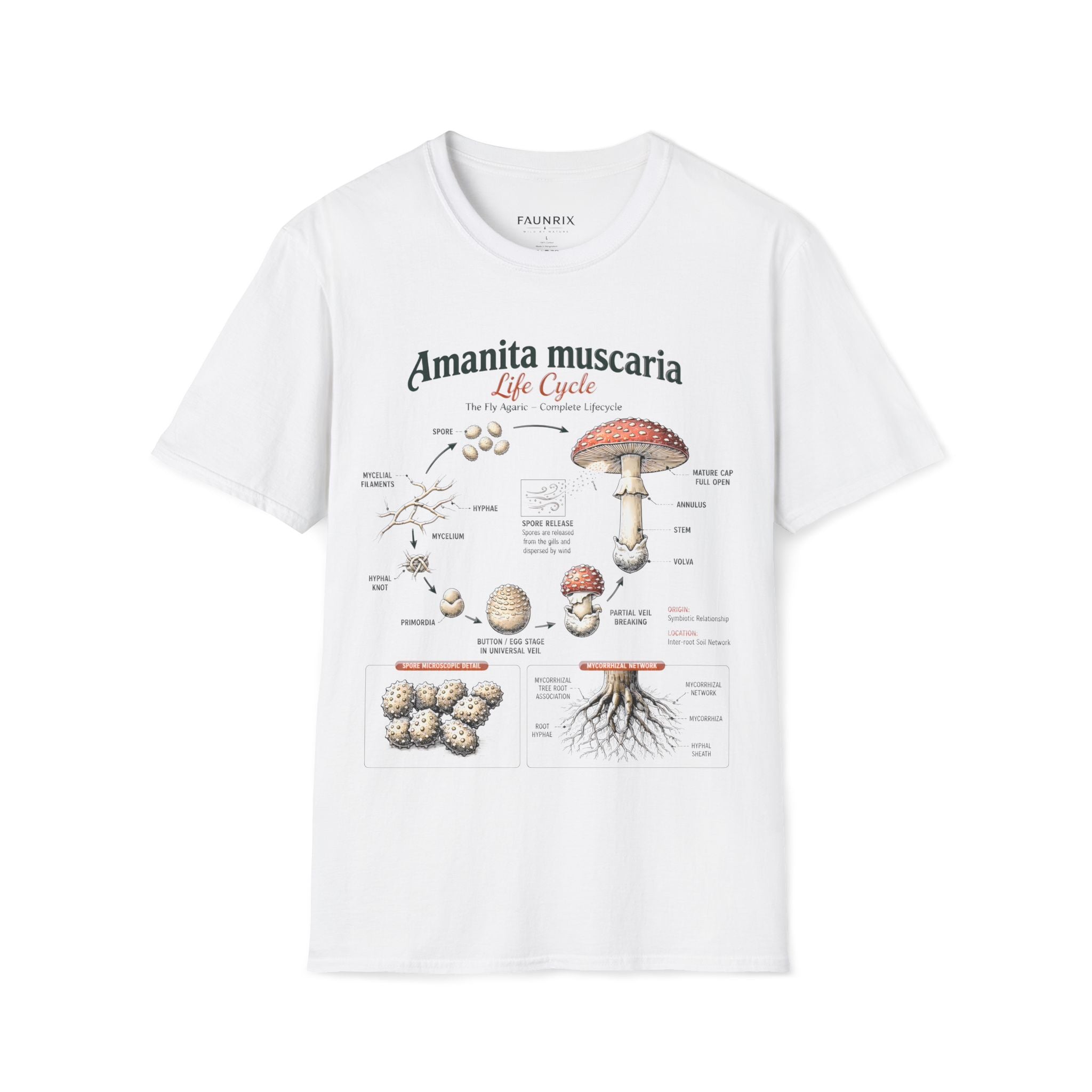 Amanita muscaria Life Cycle Anatomy T-Shirt — Educational Mushroom Diagram Tee Secondary image