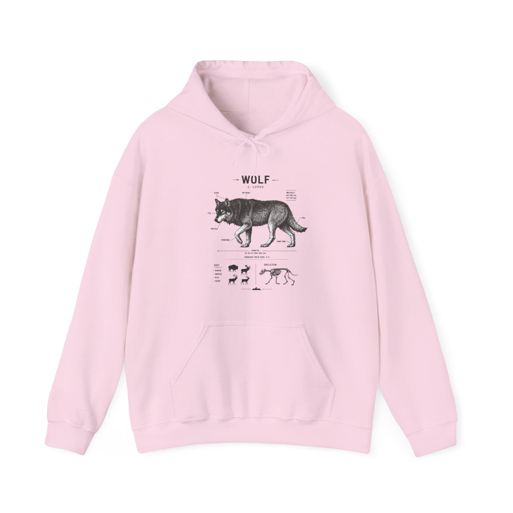 Wolf Anatomy Hoodie – Vintage Wildlife Diagram Sweatshirt