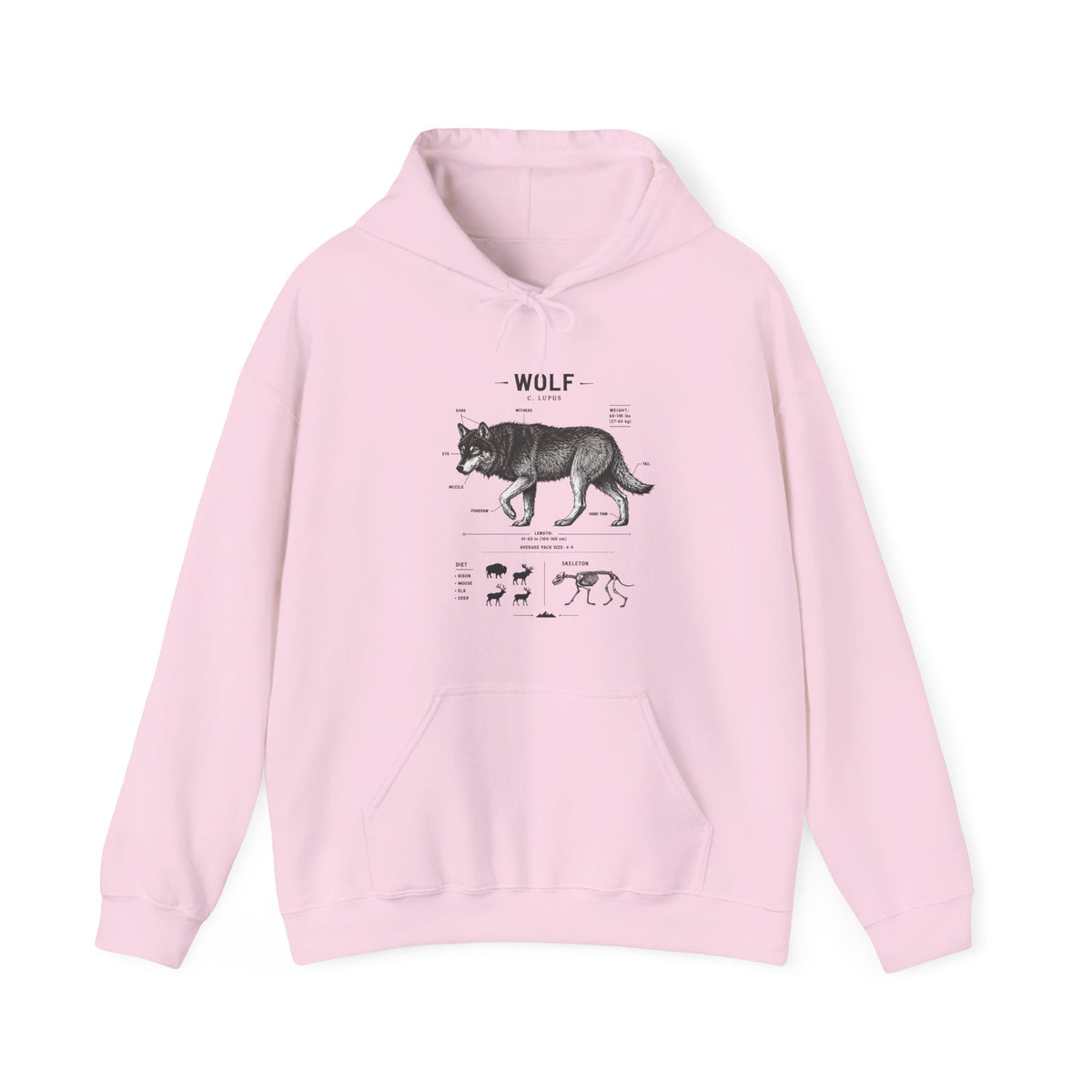 Wolf Anatomy Hoodie – Vintage Wildlife Diagram Sweatshirt