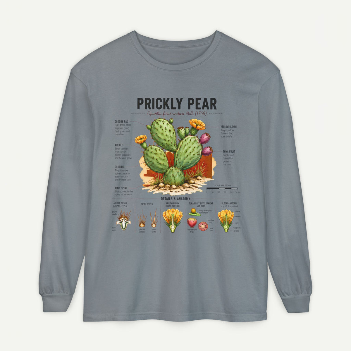 Prickly Pear Botanical Long Sleeve T-Shirt — Cactus Illustration & Plant Facts