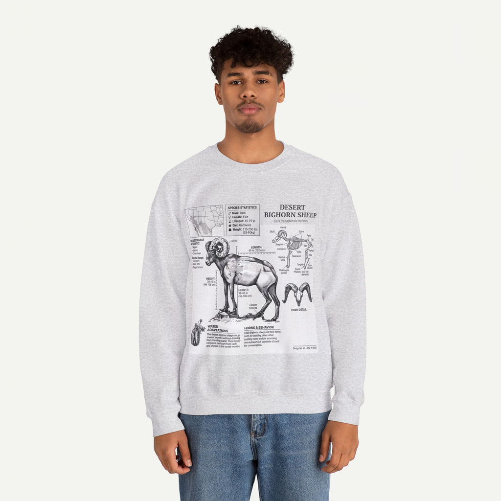 Desert Bighorn Sheep Anatomy Sweatshirt