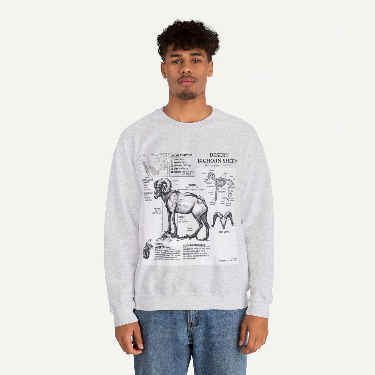 Desert Bighorn Sheep Anatomy Sweatshirt