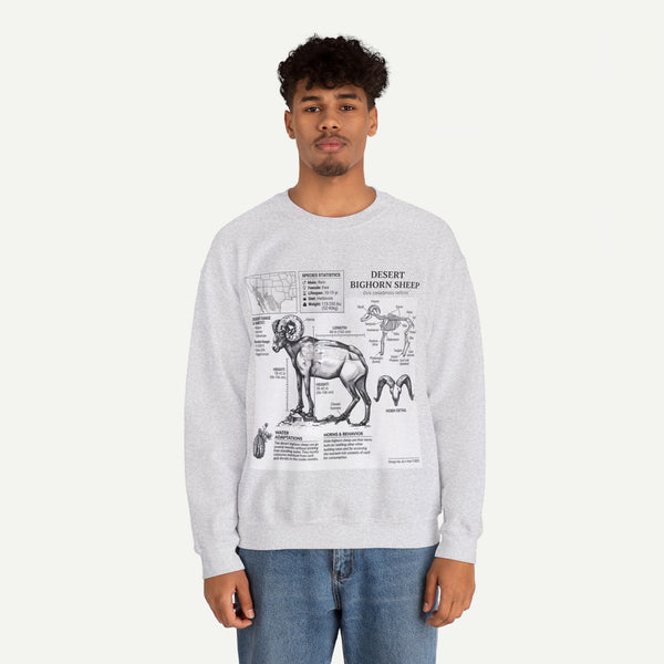 Desert Bighorn Sheep Anatomy Sweatshirt