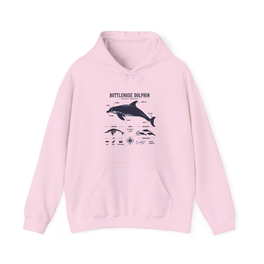 Bottlenose Dolphin Diagram Hoodie – Marine Life Anatomy Sweatshirt