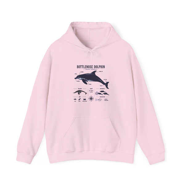 Bottlenose Dolphin Diagram Hoodie – Marine Life Anatomy Sweatshirt