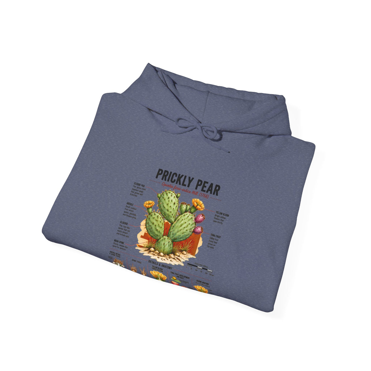 Prickly Pear Botanical Hoodie – Cactus Anatomy Illustrated Sweatshirt