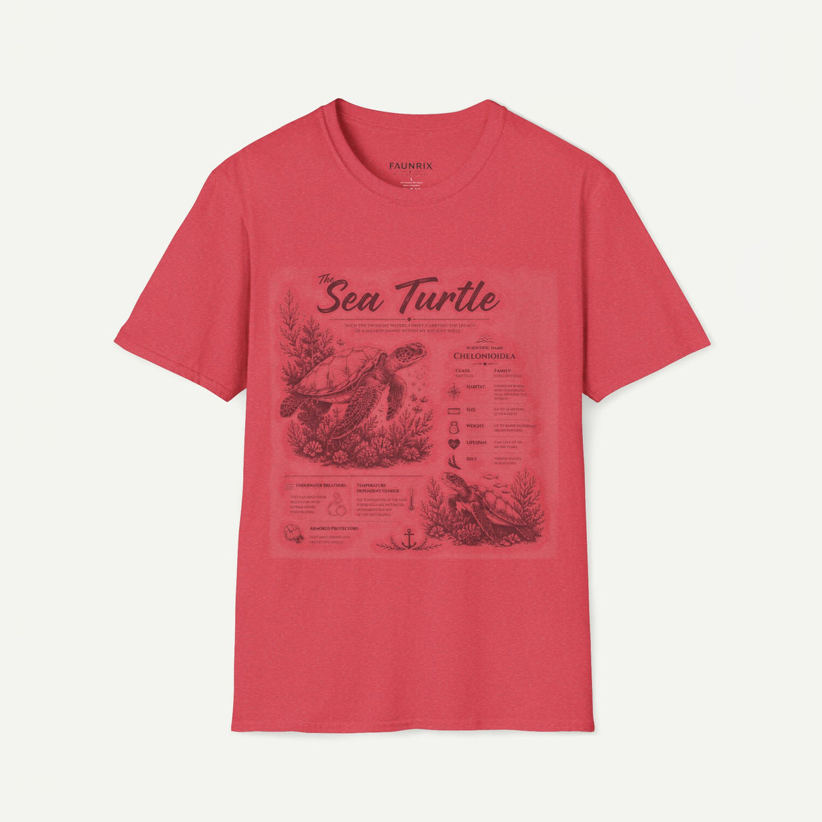 Sea Turtle Anatomy T-Shirt — Vintage Marine Illustration Tee