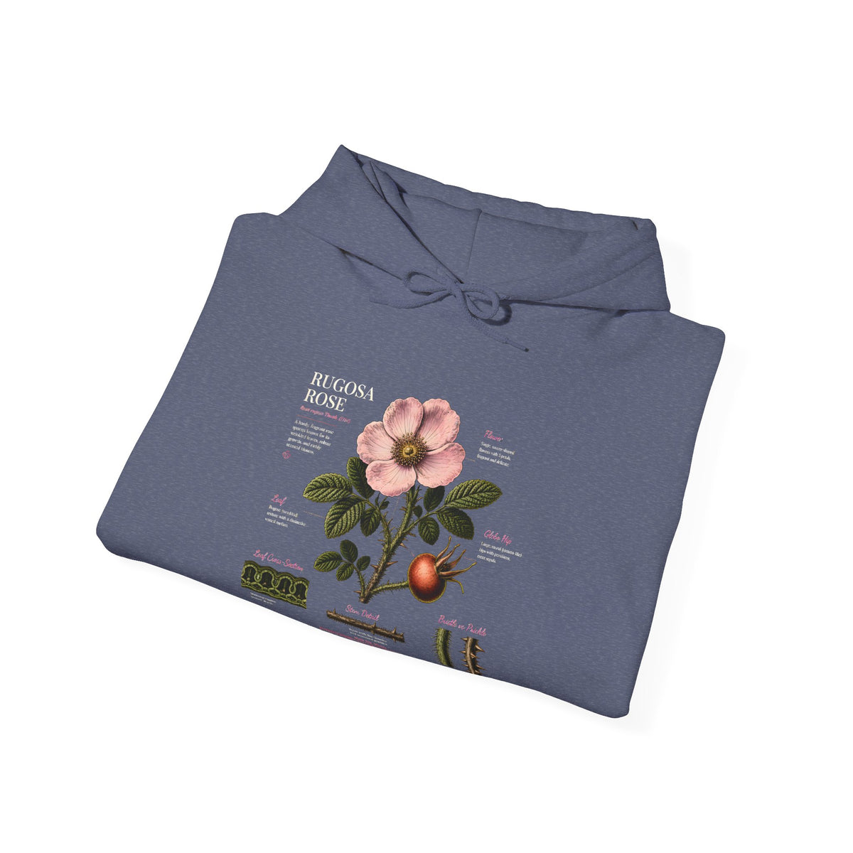 Vintage Botanical Hoodie — Rose Diagram Print