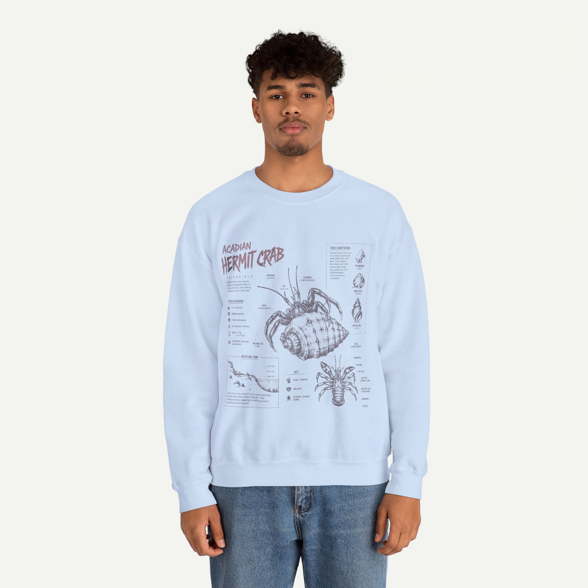 Hermit Crab Anatomy Sweatshirt — Acadian Hermit Crab Illustration