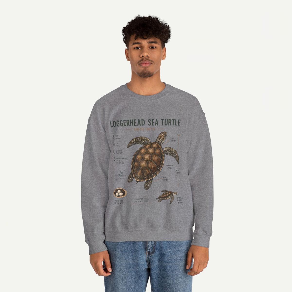 Loggerhead Sea Turtle Anatomy Sweatshirt — Marine Life Educational Crewneck