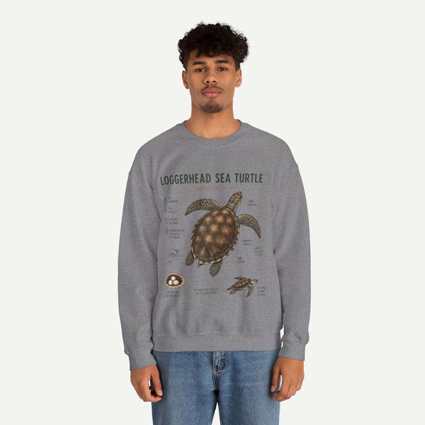 Loggerhead Sea Turtle Anatomy Sweatshirt — Marine Life Educational Crewneck