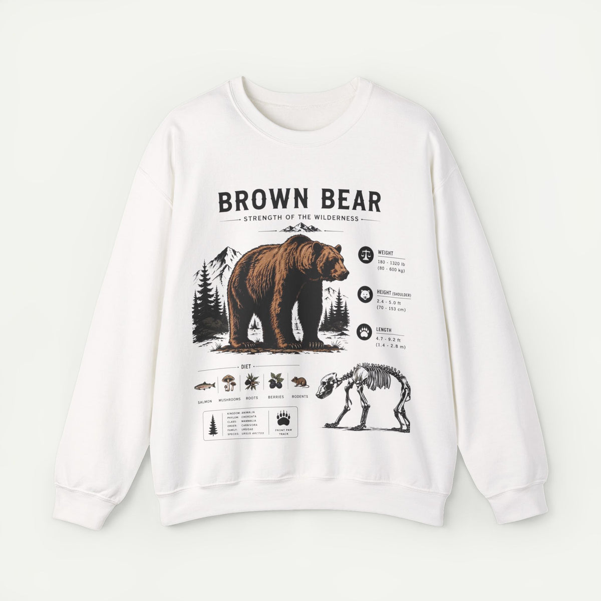 Brown Bear Anatomy Sweatshirt — Wildlife Illustration Graphic Sweatshirt Main image
