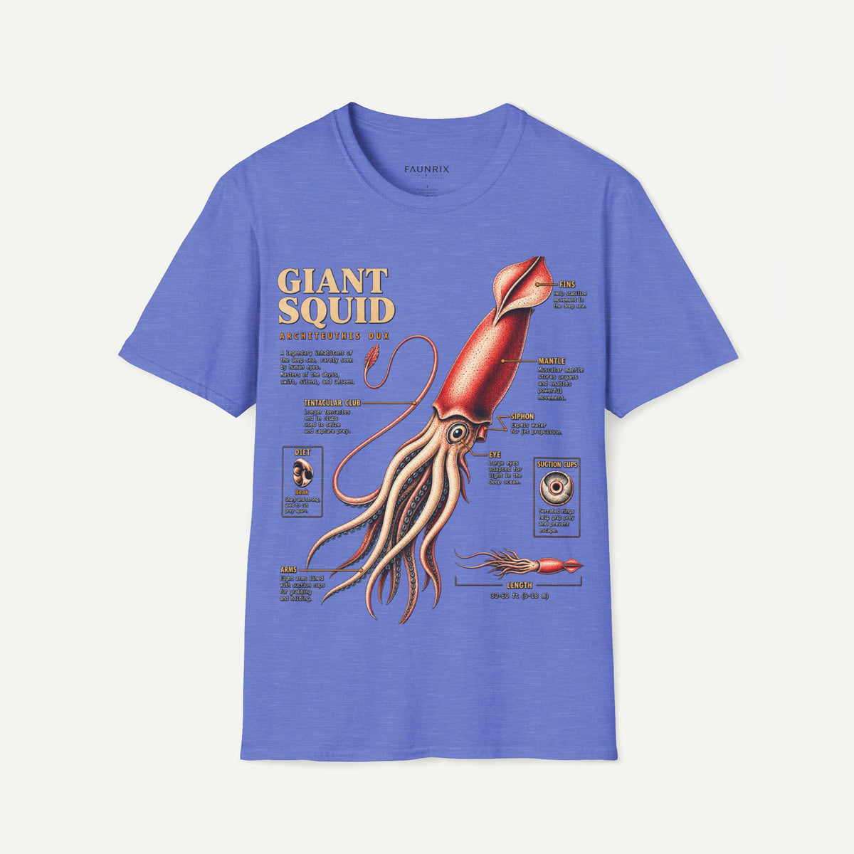 Squid Anatomy Graphic T-Shirt — 'Giant Squid' Vintage Scientific Illustration