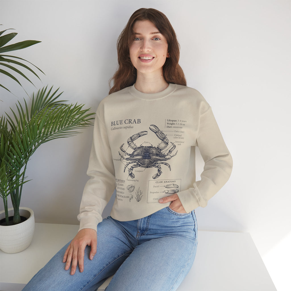 Blue Crab Anatomy Crewneck Sweatshirt – Marine Biology Graphic Pullover