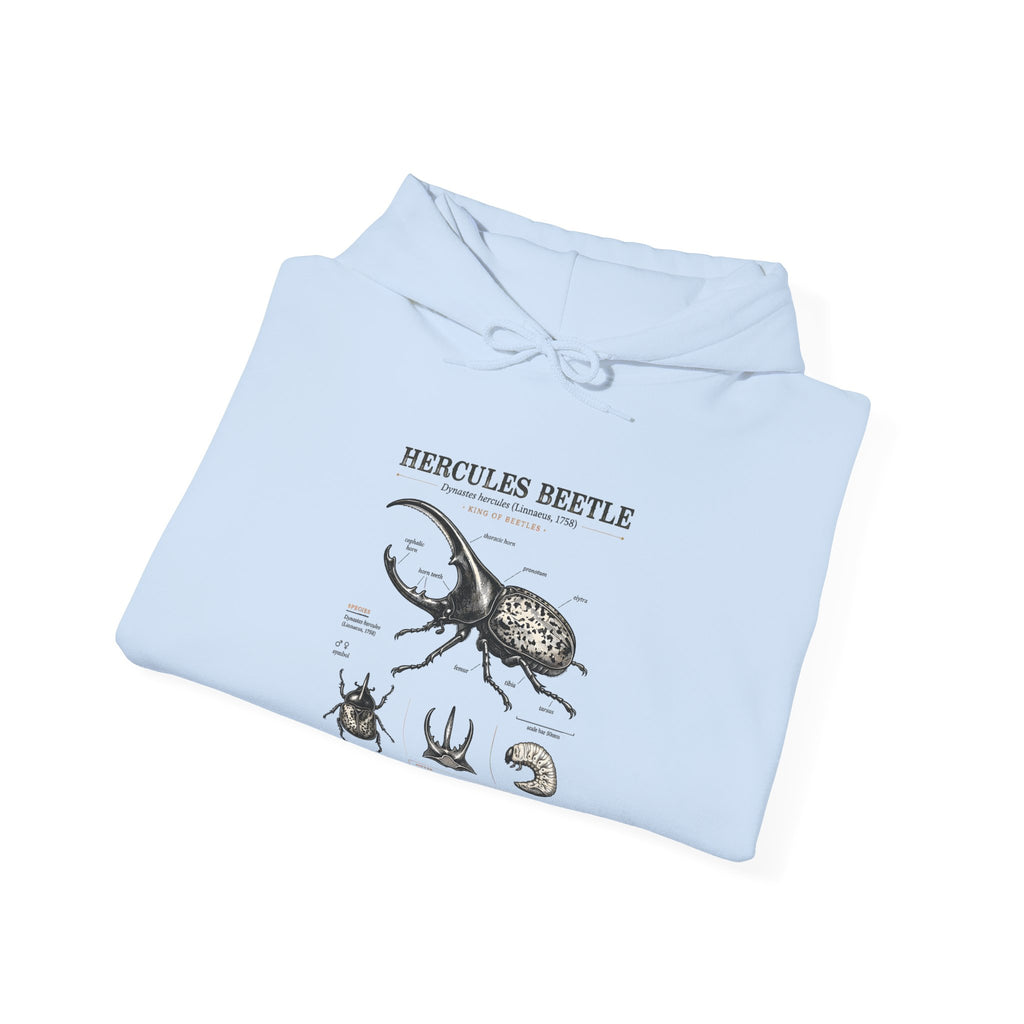 Hercules Beetle Anatomy Hoodie — Vintage Entomology Illustration Sweatshirt