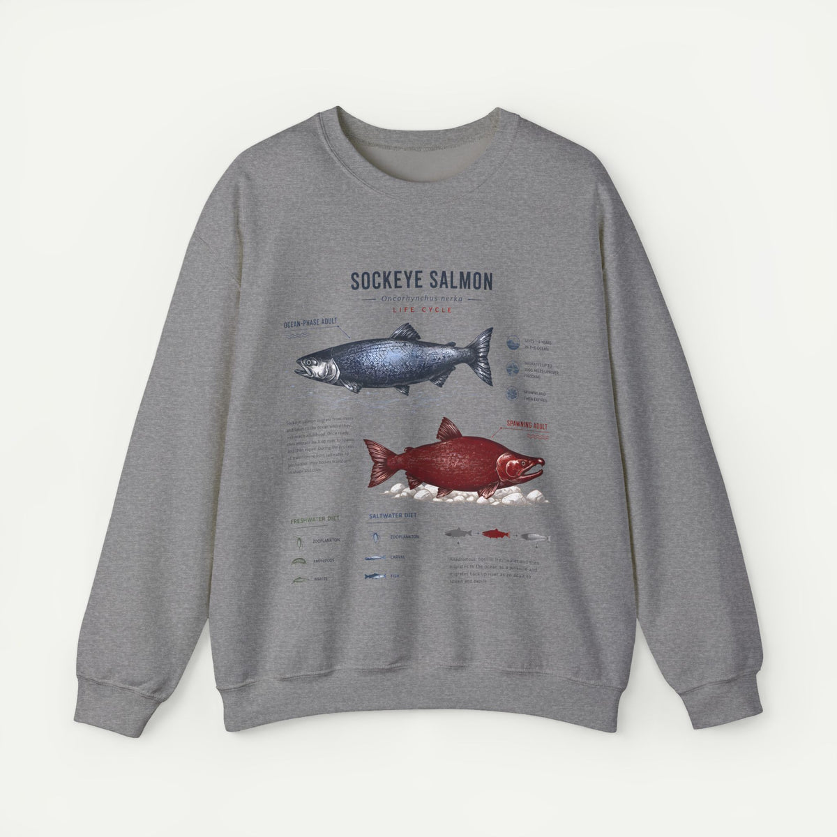 Sockeye Salmon Anatomy Sweatshirt — Fish Anatomy Graphic Crewneck