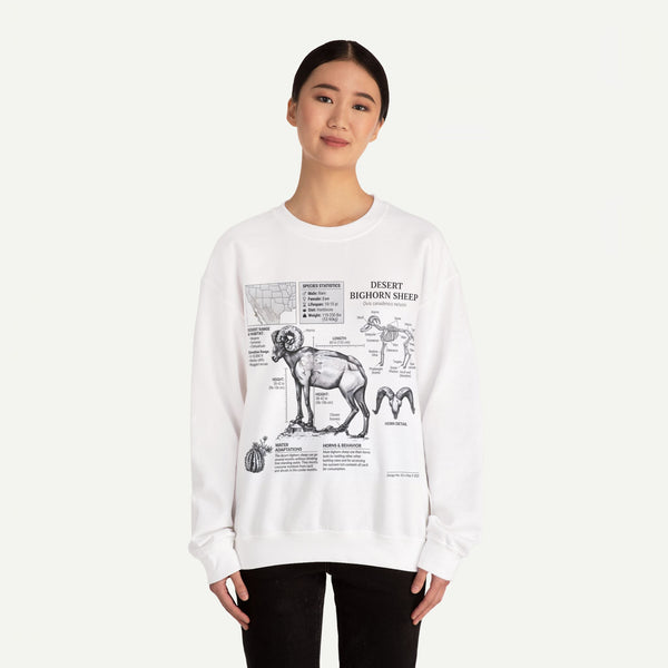 Desert Bighorn Sheep Anatomy Sweatshirt