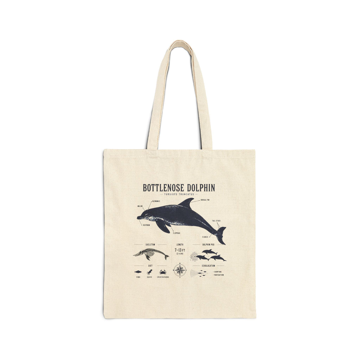 Bottlenose Dolphin Anatomy Tote Bag — Marine Biology Canvas Shopper Main image