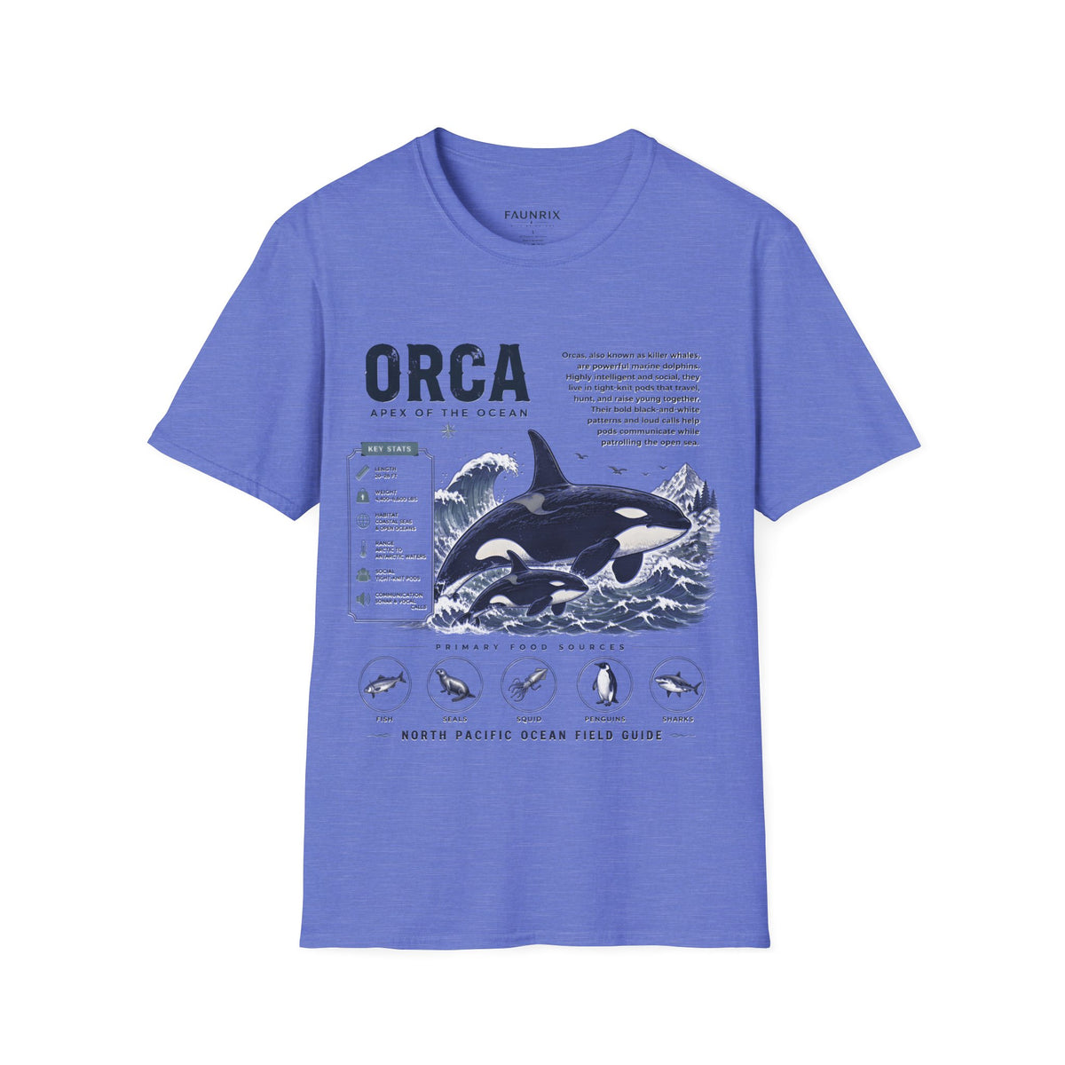 Orca Apex of the Ocean Anatomy T-Shirt – Vintage Marine Whale Illustration Tee