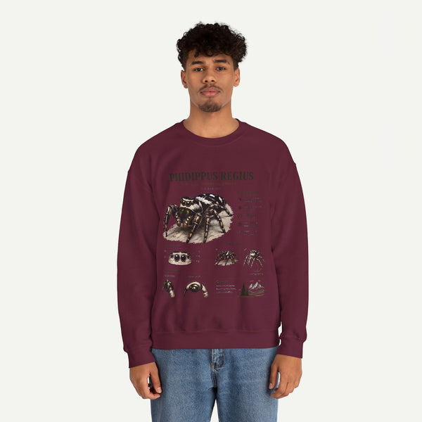 Spider Anatomy Crewneck Sweatshirt — Phidippus Regius Jumping Spider Illustration