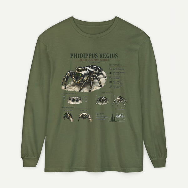 Phidippus Regius Jumping Spider Illustration Long Sleeve Tee